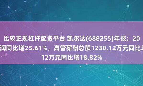 比较正规杠杆配资平台 凯尔达(688255)年报：2024年净利润同比增25.61%，高管薪酬总额1230.12万元同比增18.82%